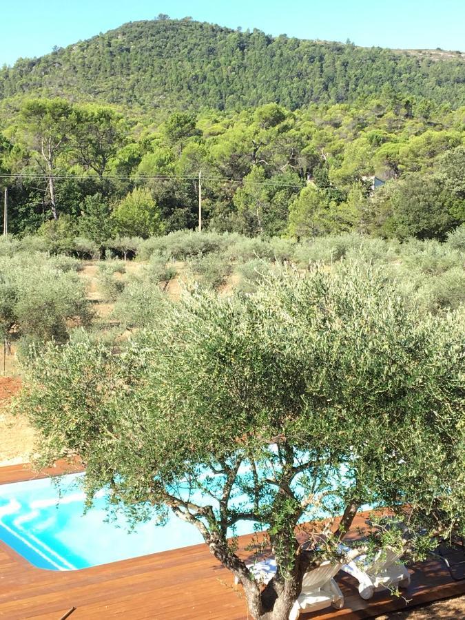 La Villa Aux Oliviers Le Val Esterno foto
