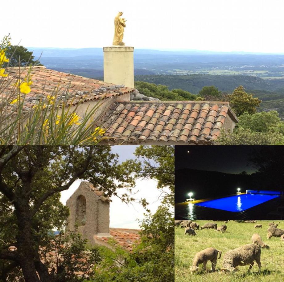 La Villa Aux Oliviers Le Val Esterno foto